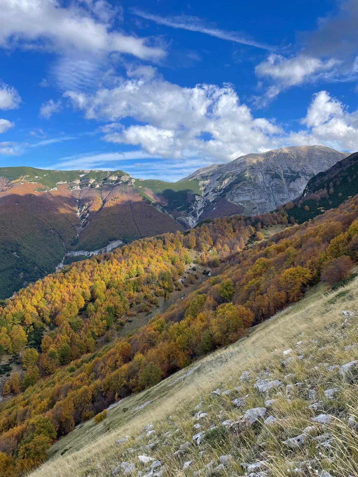 Foto 1 del Rifugio Paolo Barrasso e della Majella